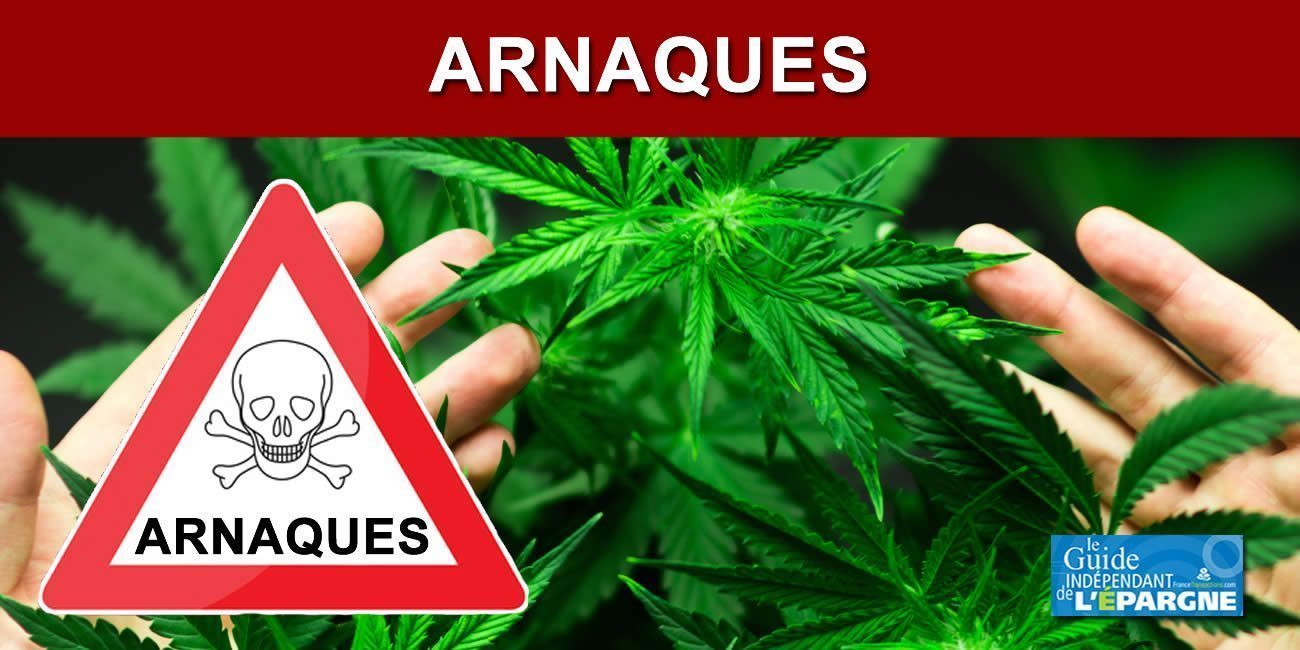 Arnaques aux placements financiers dans le Cannabis à usage médical, rendement de 6%