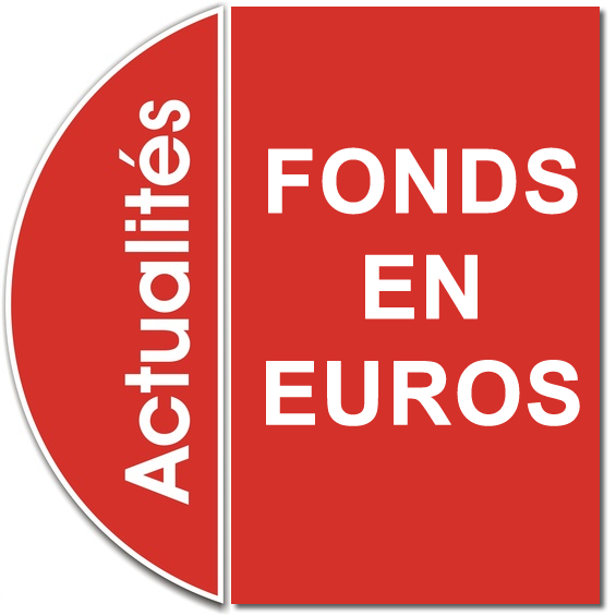 Assurance-vie : rendements moyens 2018 des fonds euros par type (classique, immobilier, dynamique, à risque...) Assurance-vie : rendements moyens 2018 des fonds euros par type (classique, immobilier, dynamique, à risque...)
