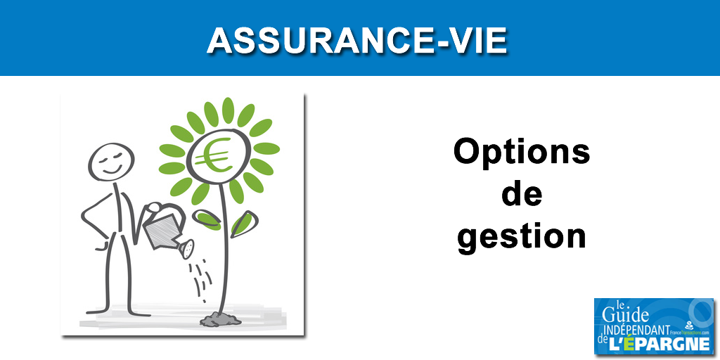 Options contrat assurance-vie