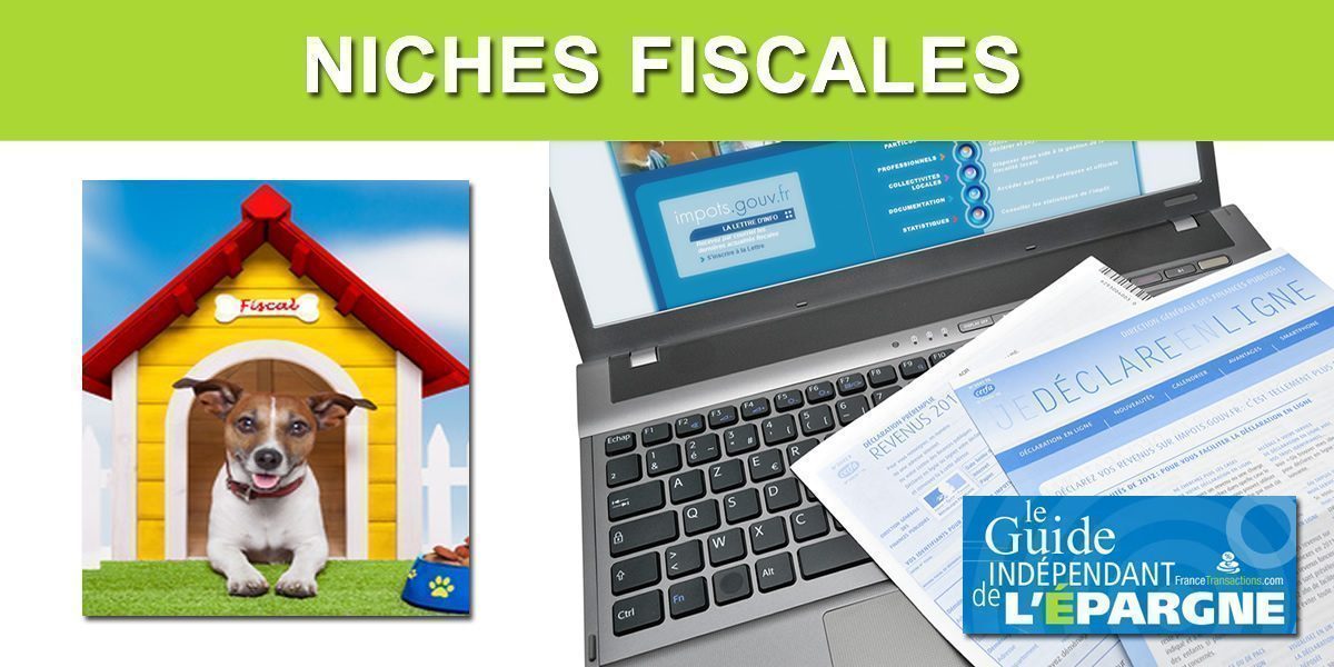 TOP 25 des niches fiscales 2024