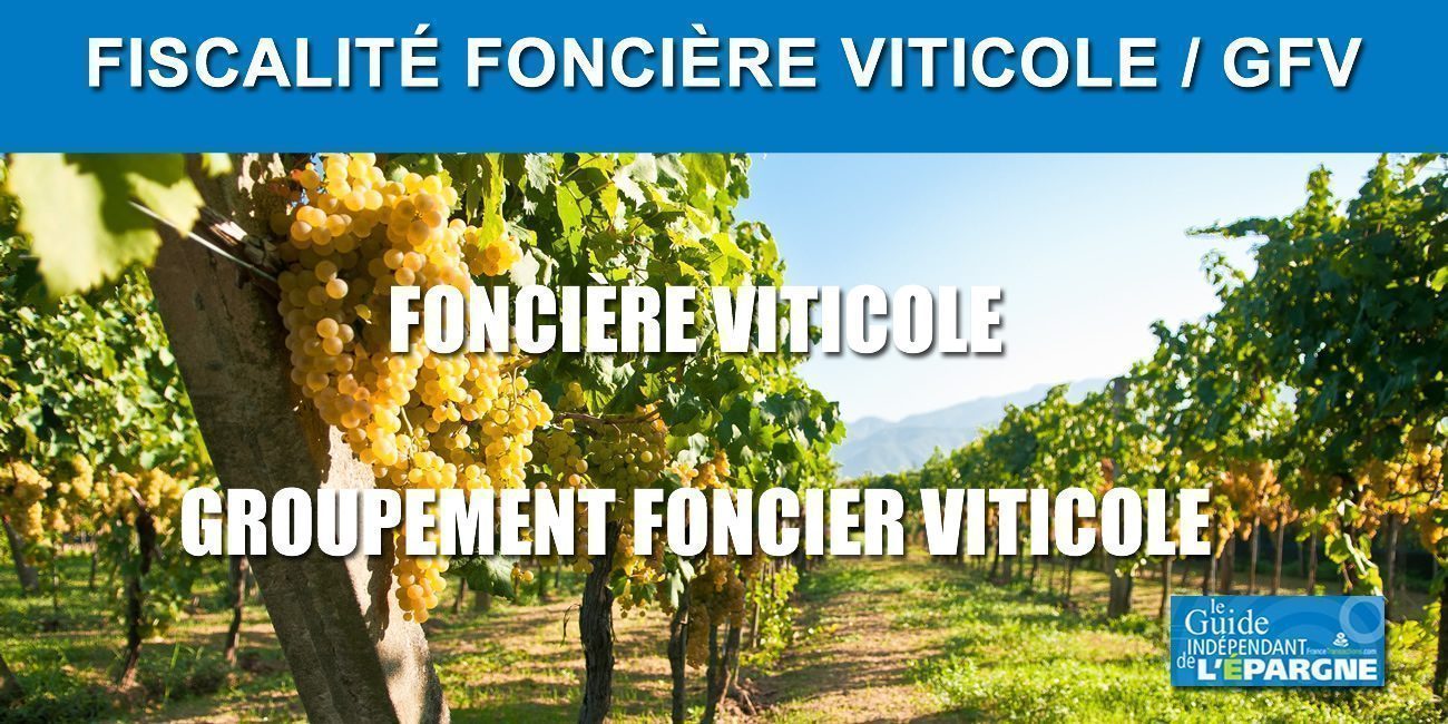 Investissement viticole (Foncière viticole, GFV - Groupement Foncier Viticole)