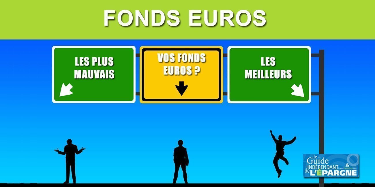 Assurance-vie : Top et Flop des fonds euros, les meilleures et les pires performances 2022 Assurance-vie : Top et Flop des fonds euros, les meilleures et les pires performances 2022