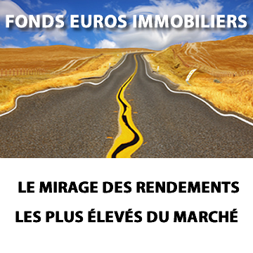 Pourquoi les fonds en euros immobiliers ont été largement moins rentables en 2018 que les fonds euros classiques ? Pourquoi les fonds en euros immobiliers ont été largement moins rentables en 2018 que les fonds euros classiques ?
