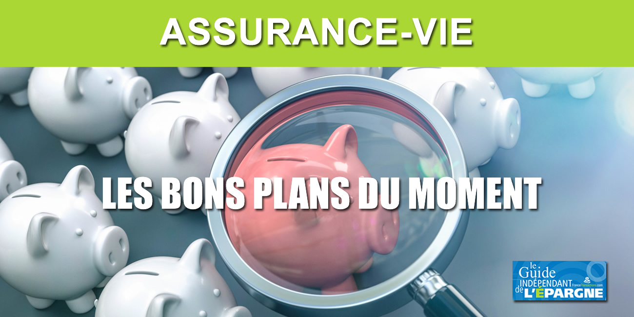 Assurance-vie : primes de bienvenue, 6.600€ offerts cumulés au 28 avril 2026 (12 offres) Assurance-vie : primes de bienvenue, 6.600€ offerts cumulés au 28 avril 2026 (12 offres)
