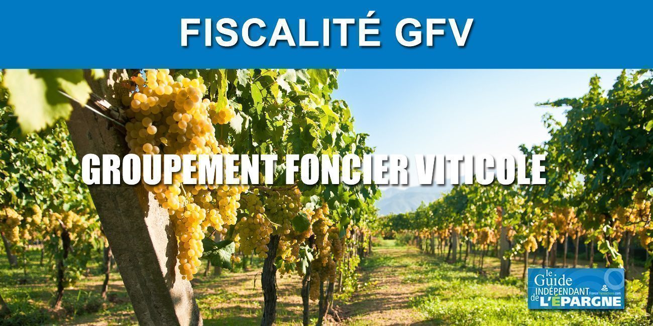 Fiscalité des GFV (Groupement Foncier Viticole)
