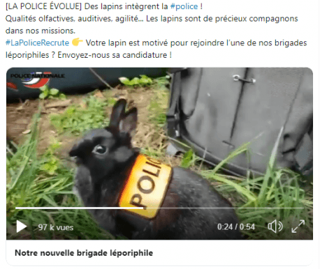 Poisson d'avril, les meilleurs canulars 2019 proviennent des autorités : police et gendarmerie