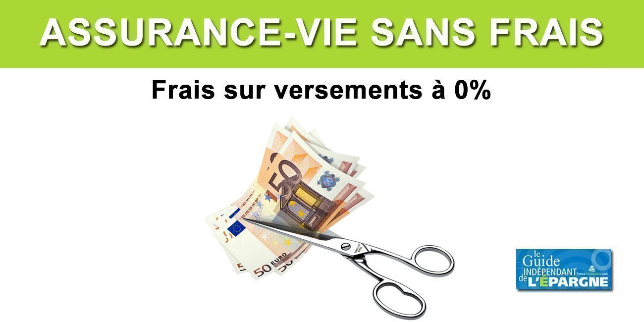 Assurance-vie : Contrats sans frais sur versement