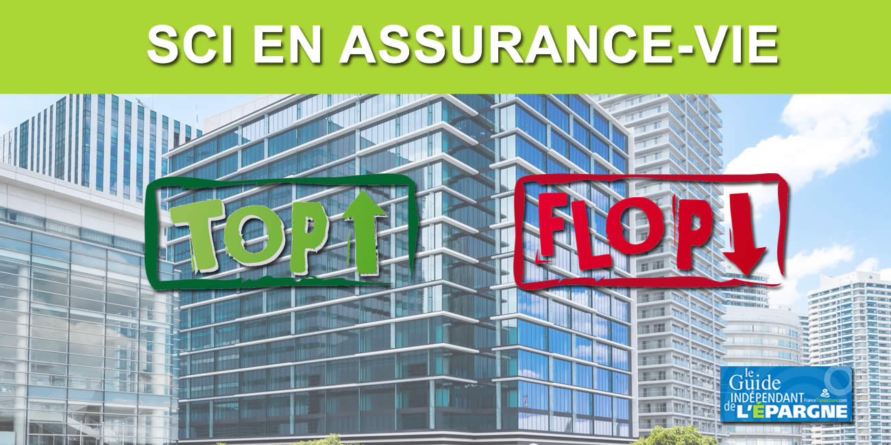 SCI en assurance vie, performances 2023 : le meilleur côtoie le pire, de + 6 % à près de - 12 % SCI en assurance vie, performances 2023 : le meilleur côtoie le pire, de + 6 % à près de - 12 %