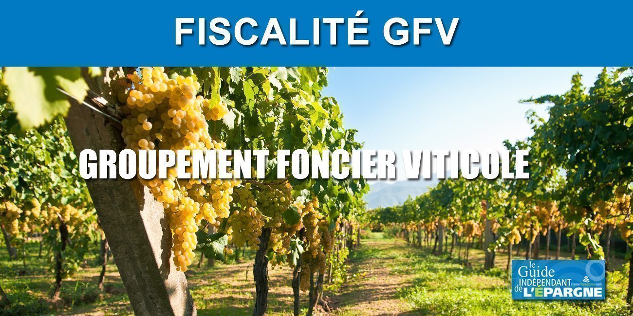 Fiscalité des GFV (Groupement Foncier Viticole) Fiscalité des GFV (Groupement Foncier Viticole)