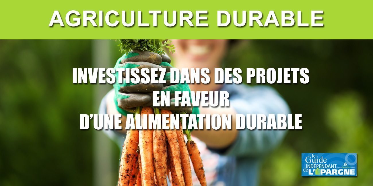 Épargner autrement avec MiiMOSA : investir dans l'agriculture et l'alimentation durables ?