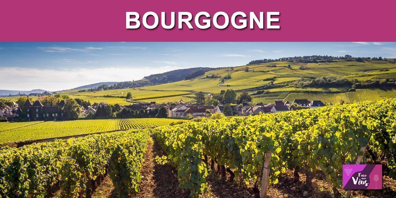 Les vendanges 2021 en Bourgogne débuteront tardivement, à partir du 23 septembre