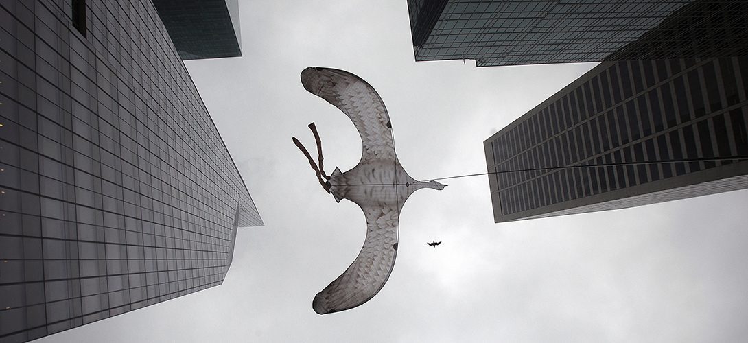 Evasion fiscale : le début de la fin ?