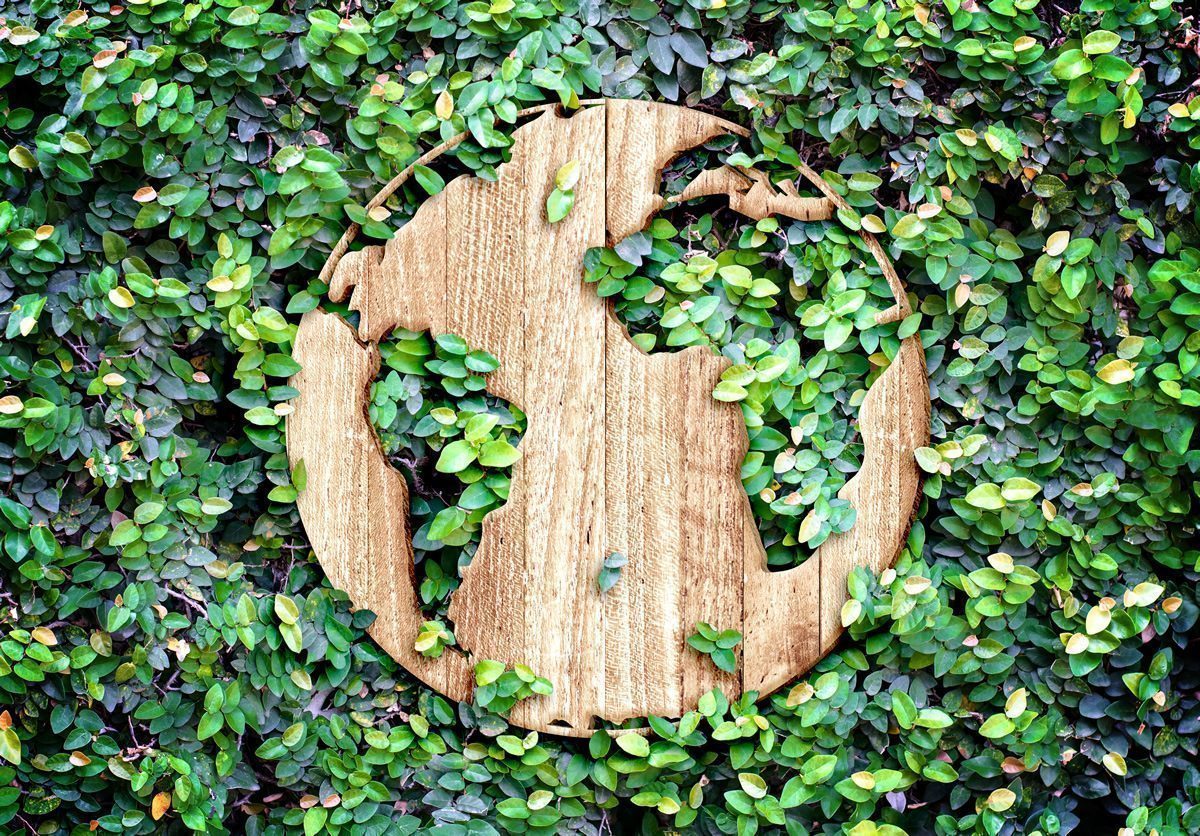 HVE (Haute Valeur Environnementale) HVE (Haute Valeur Environnementale)