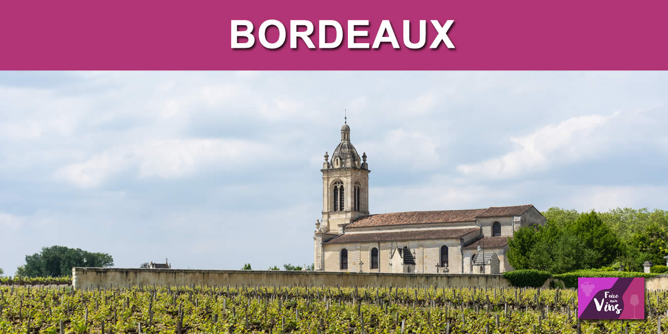 Primeurs Bordeaux 2023 : avis des experts, prix en chute de 35% en moyenne par rapport à 2022