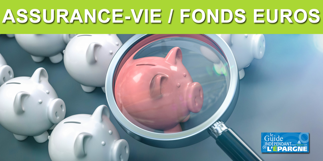 Assurance vie : publication des rendements 2025 des fonds euros