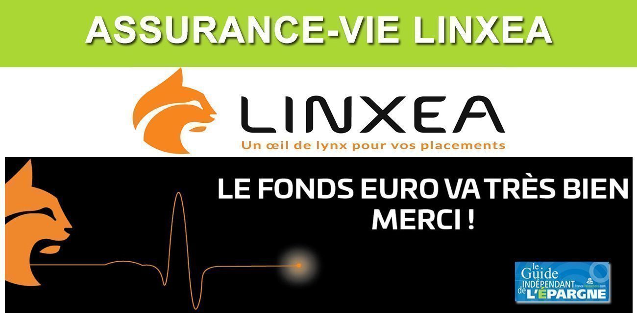 Assurance-Vie, Taux 2019, chez LINXEA, les fonds euros vont très bien ! Assurance-Vie, Taux 2019, chez LINXEA, les fonds euros vont très bien !