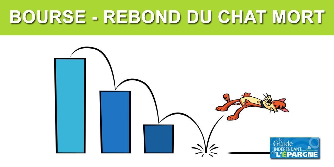 Bourse : Fort rebond du CAC40 (+8.39%), comme une vague odeur de chat mort... CAC40