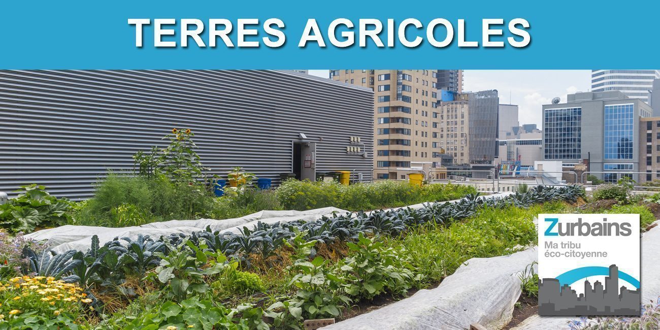 Préservation des terres agricoles : les bonnes initiatives recensées