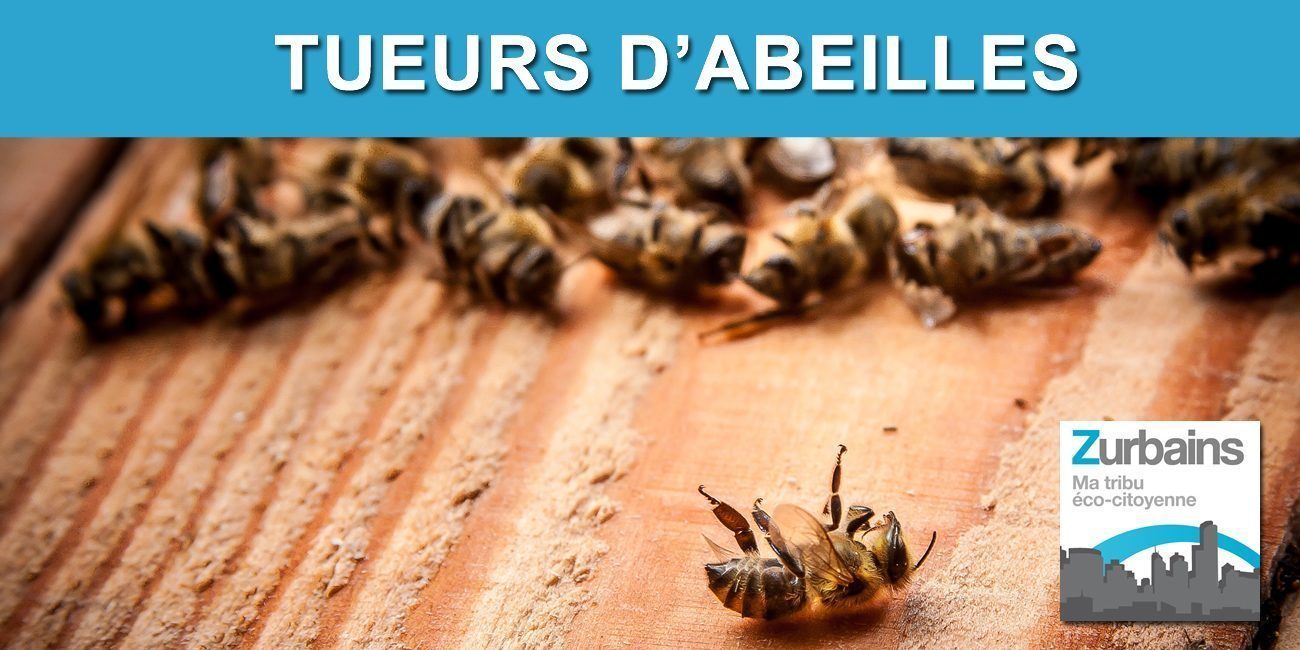Néonicotinoïdes : interpellez votre député afin de sauver les abeilles !