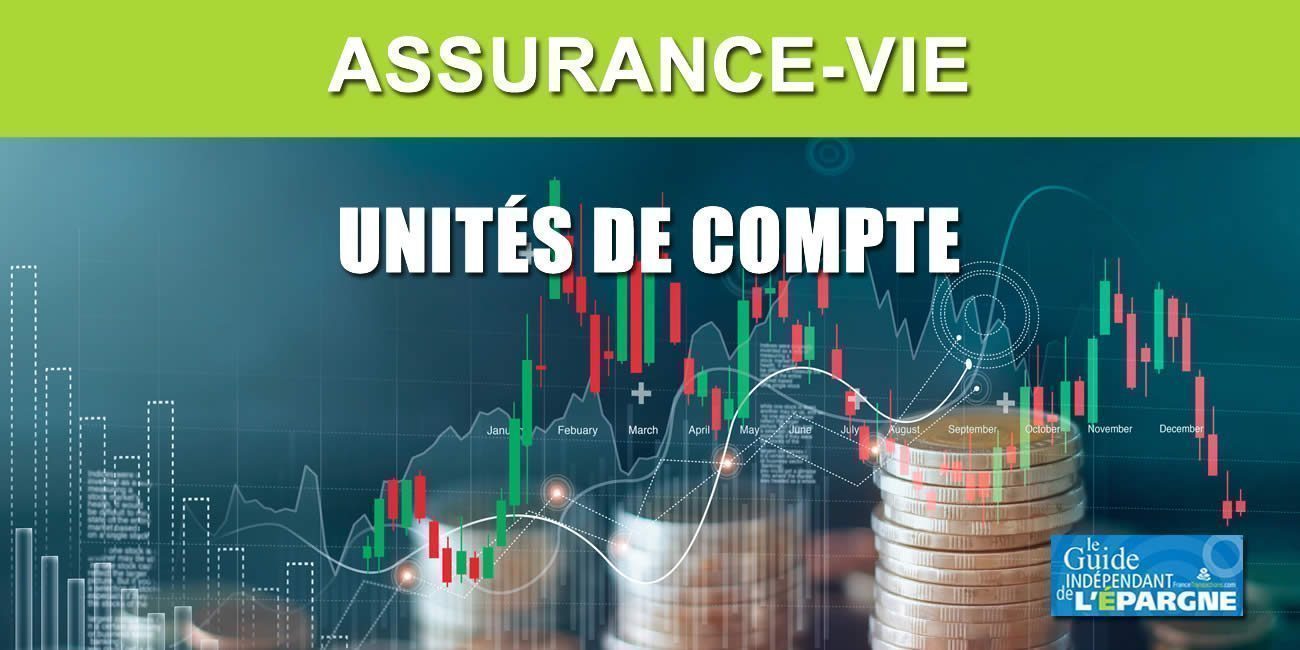 Assurance-vie : parmi les 6798 unités de compte distinctes détenues, 73% sont des fonds français
