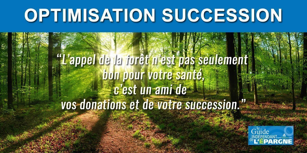 Optimisation fiscale de votre transmission de capital : pourquoi l'appel de la forêt est-il à écouter ?