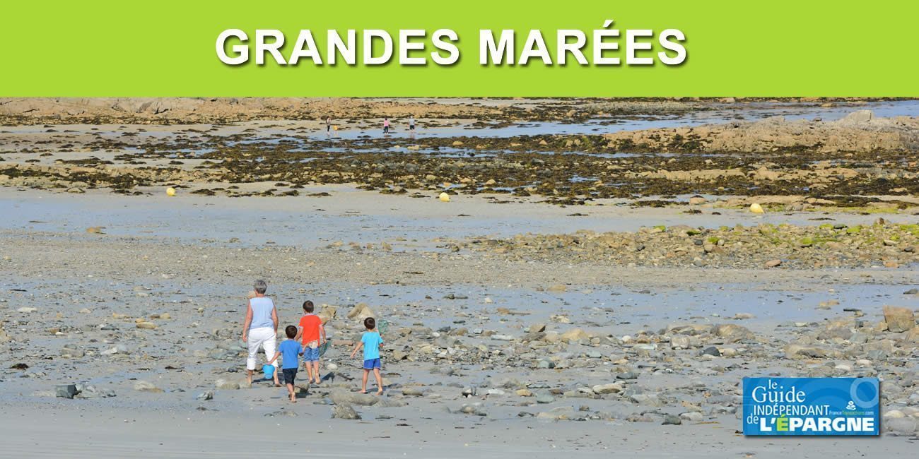 Grandes marées : la pêche à pied marche toujours, mais attention aux risques