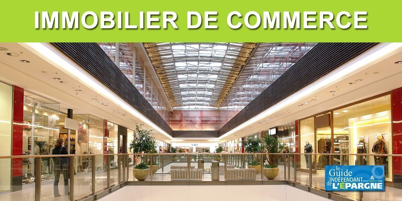 immobilier commercial