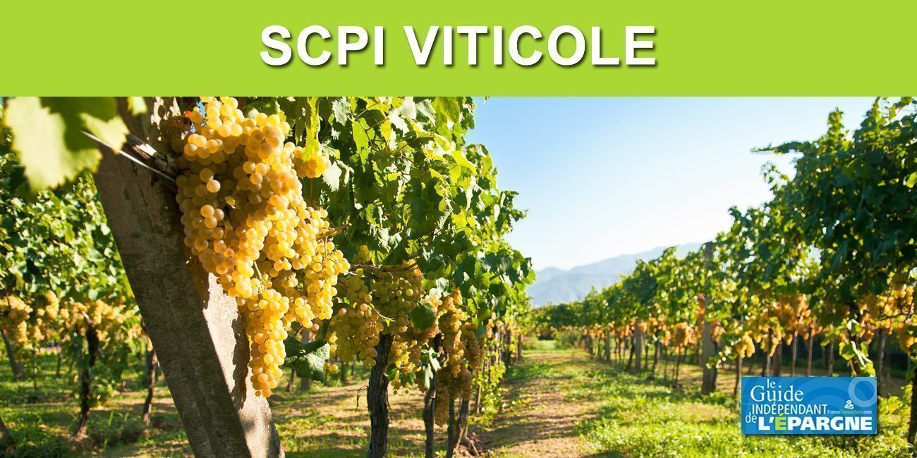 SCPI Viticole