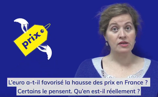 La mise en place de l'Euro est-elle responsable de la hausse des prix ? L'euro a-t-il favorisé l'inflation ? La mise en place de l'Euro est-elle responsable de la hausse des prix ? L'euro a-t-il favorisé l'inflation ?