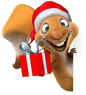 Noël 2014 : des dépenses prévues en baisse, hausse des impôts oblige Noël 2014 : des dépenses prévues en baisse, hausse des impôts oblige