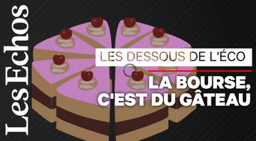 Qu'est-ce qu'une action, une part du gâteau ? Faut-il vraiment avoir peur des actionnaires ? Décryptage pour les nuls @EchosVideos