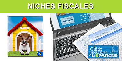 TOP 25 des niches fiscales 2026