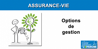 Options contrat assurance-vie