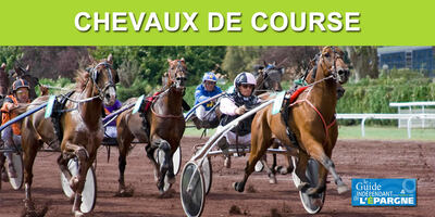 Placement chevaux de course Placement chevaux de course