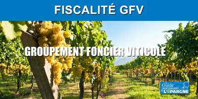 Fiscalité des GFV (Groupement Foncier Viticole)