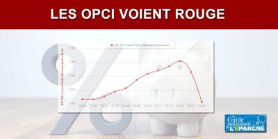 Chute des OPCI sur mars 2020 : l'indice IEIF le confirme (-2.47%)