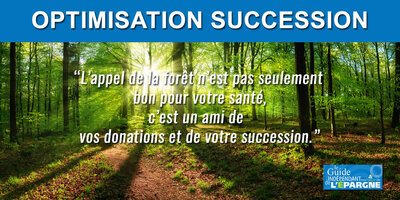 Optimisation fiscale de votre transmission de capital : pourquoi l'appel de la forêt est-il à écouter ? Optimisation fiscale de votre transmission de capital : pourquoi l'appel de la forêt est-il à écouter ?