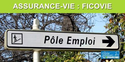 Assurance-vie : lutte contre la fraude aux allocations de solidarité, Pôle Emploi peut désormais vérifier vos encours en assurance-vie