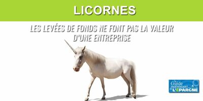 Objectif de 100 licornes en France en 2030 ? La valorisation des entreprises sur leurs levées de fonds n'a que peu de sens, un miroir aux alouettes !