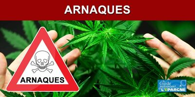 Arnaque à l'investissement sur le cannabis thérapeutique(JuicyFields) : des promesses de plus-values de 49.5% en 108 jours, pour un capital qui part en fumée Arnaque à l'investissement sur le cannabis thérapeutique(JuicyFields) : des promesses de plus-values de 49.5% en 108 jours, pour un capital qui part en fumée