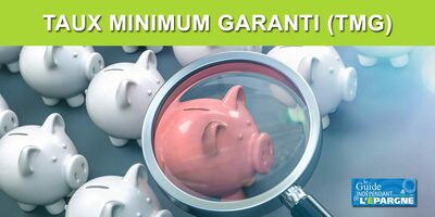 Assurance Vie / fonds euros : Taux Minimum Garantis (TMG) sur 2023 Assurance Vie / fonds euros : Taux Minimum Garantis (TMG) sur 2023