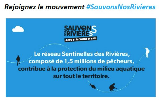 Gestion de l'eau #SauvonsNosRivieres : une alerte lancée par les pêcheurs, nos rivières meurent