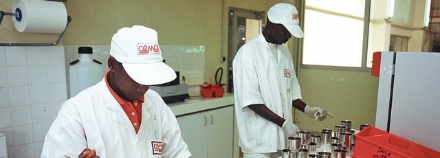 Cémoi installe une chocolaterie en Côte d'Ivoire pour conquérir l'Afrique