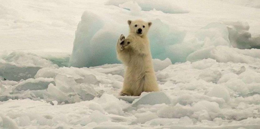 Comment endiguer le réchauffement climatique sans nuire à la croissance