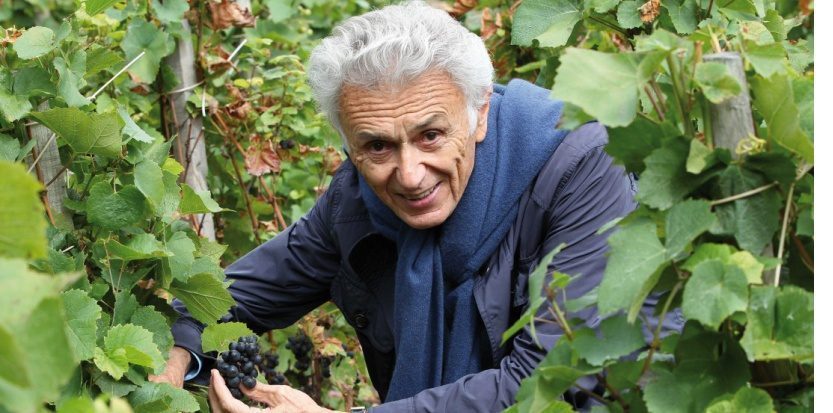 Du bon, Dubœuf, du beaujolais