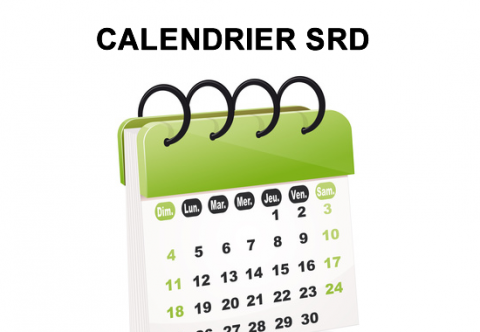 Calendrier Différé Boursorama 2023 Bourse : Calendrier Des Liquidations Srd 2021 À Venir - Guide Épargne