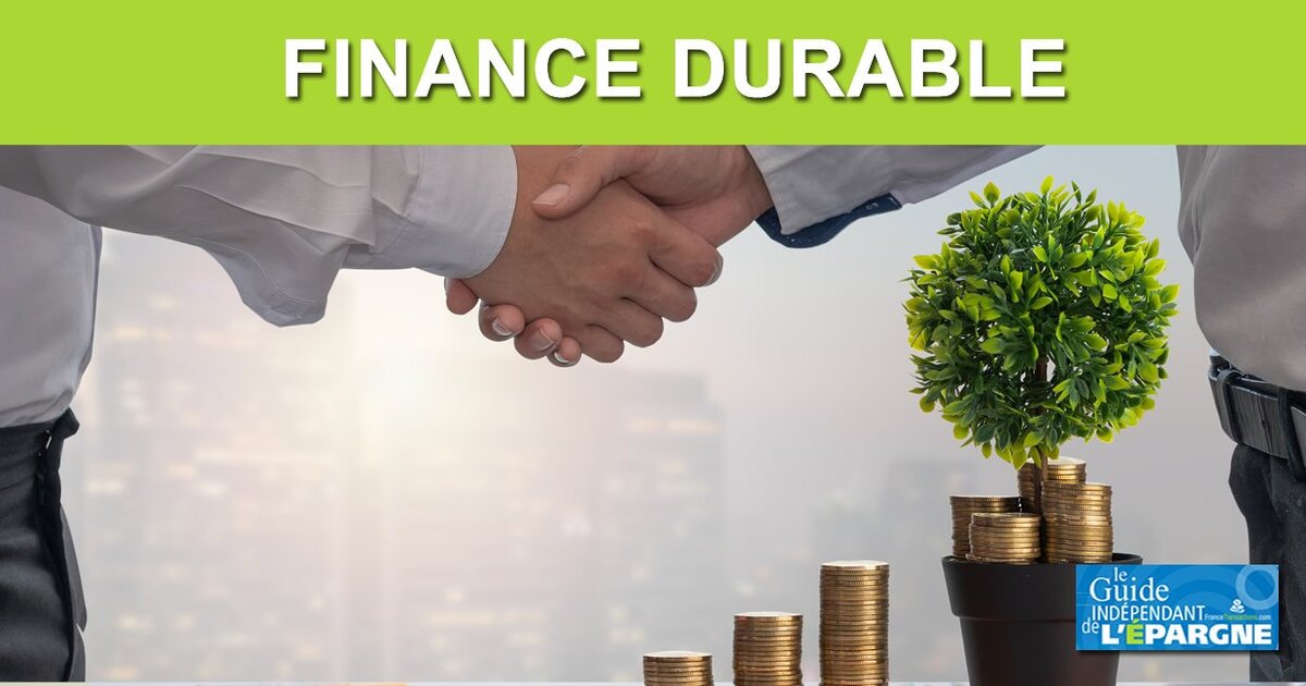 Finance durable l impact des placements sur l environnement est important pour plus de trois quarts des epargnants FranceTransactions