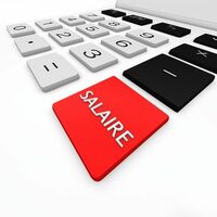 Indemnité compensatrice de la CSG pour les fonctionnaires non versée en janvier : un loupé informatique
