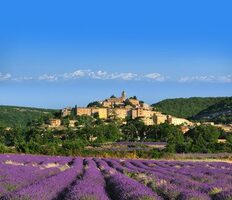 Immobilier : Le foncier rural est moins recherché par les étrangers !