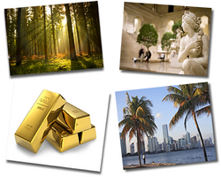 Sur quels placements misent les plus riches ?